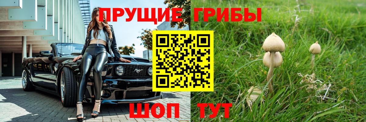 Галлюциногенные грибы мухоморы  Псилоцибиновые грибы прущие грибы  Новозыбков  Вход с VPN 